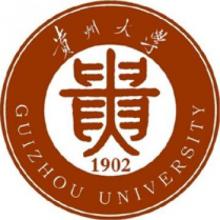 贵州大学汉语国际教育考研辅导班