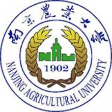 南京农业大学会计学  考研辅导班