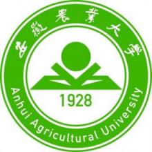 安徽农业大学风景园林考研辅导班 