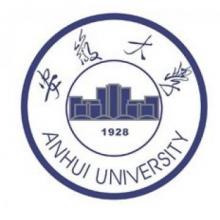 安徽大学社会工作硕士考研辅导班