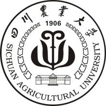 四川农业大学金融学考研辅导班