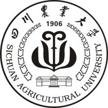 四川农业大学艺术设计考研辅导班