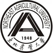 东北农业大学农业机械化工程考研辅导班