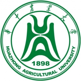 东华大学考研辅导班