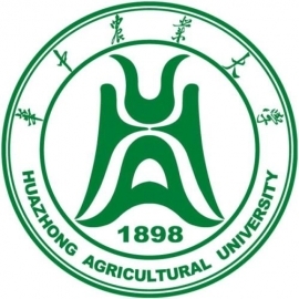 东华大学考研辅导班
