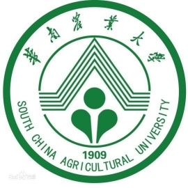 东华大学考研辅导班